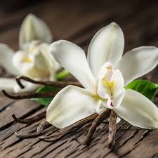 vanilla